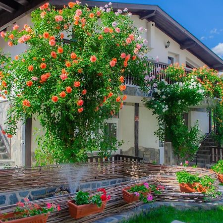 Guest House Via Сапарева-Баня Экстерьер фото