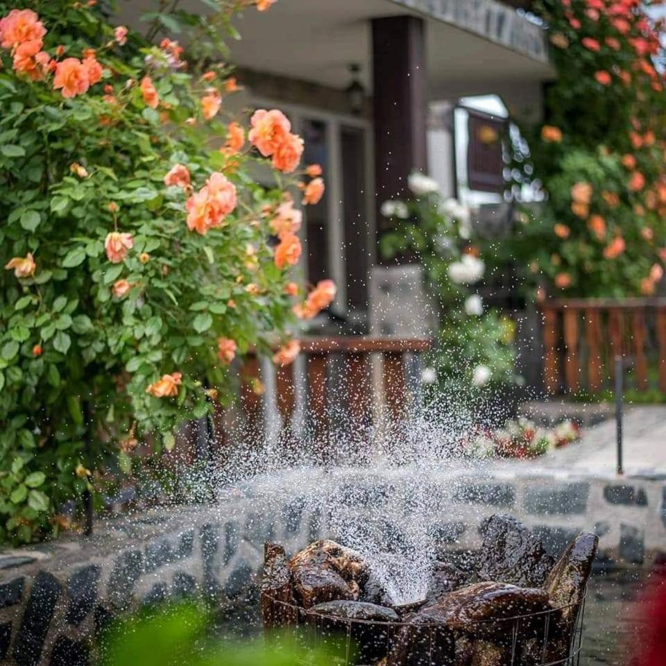 Guest House Via Сапарева-Баня Экстерьер фото