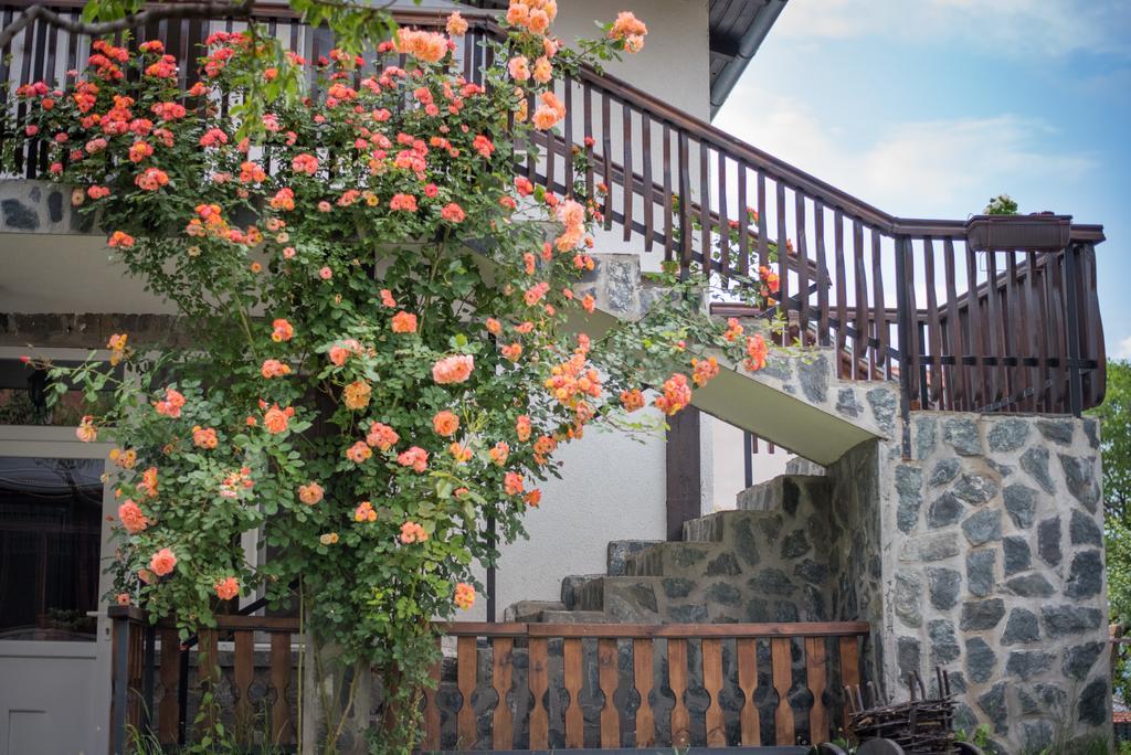 Guest House Via Сапарева-Баня Экстерьер фото