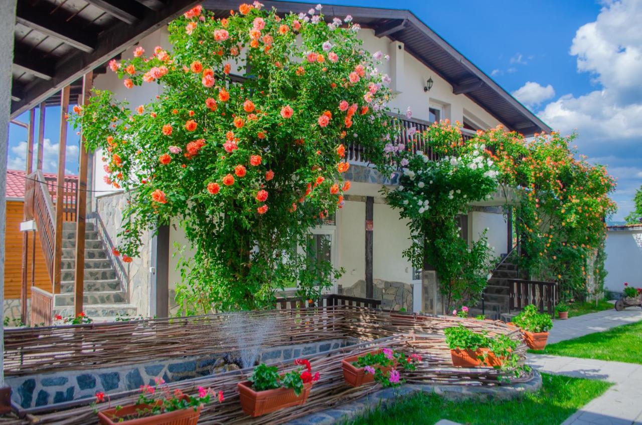Guest House Via Сапарева-Баня Экстерьер фото